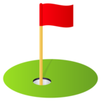 Flag in Hole