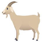 Goat