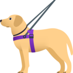 Guide Dog