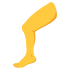 Leg