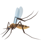 Mosquito