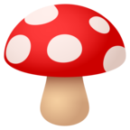 Mushroom