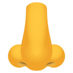 Nose