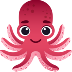 Octopus