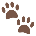 Paw Prints