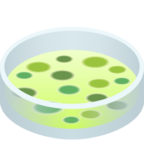 Petri Dish