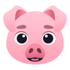 Pig Face