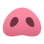 Pig Nose