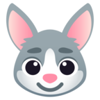 Rabbit Face
