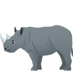 Rhinoceros