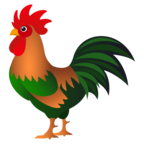 Rooster