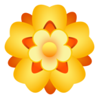 Rosette