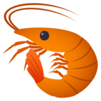 Shrimp