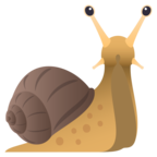 Snail