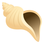Spiral Shell