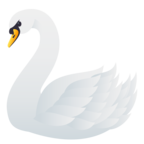 Swan