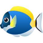 Tropical Fish