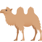 Two-Hump Camel
