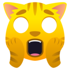 Weary Cat