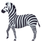 Zebra