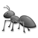 Муравей