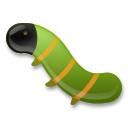 Жук
