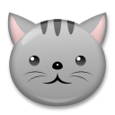 Кошачья морда