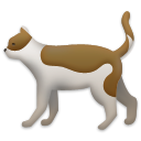 Кот