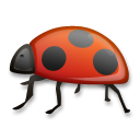 Божья коровка