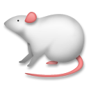 Мышь