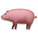 Свинья