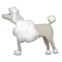 Пудель