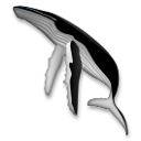 Кит