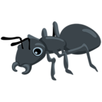 Ant