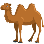 Two-Hump Camel