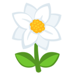 Blossom