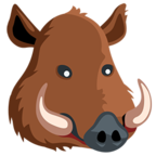 Boar