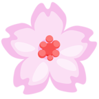 Cherry Blossom