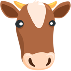 Cow Face