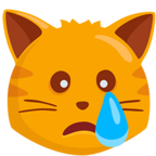 Crying Cat