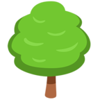 Deciduous Tree