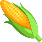 Ear of Corn