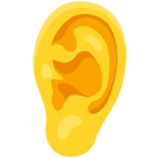 Ear