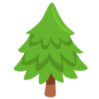 Evergreen Tree
