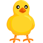 Front-Facing Baby Chick