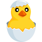 Hatching Chick