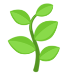 Herb
