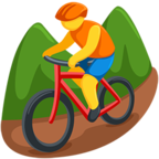 Person Mountain Biking
