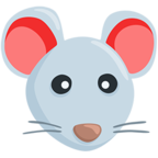 Mouse Face