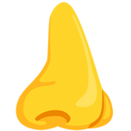 Nose